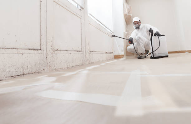24/7 Emergency Mold Inspection experts in Bowie, TX