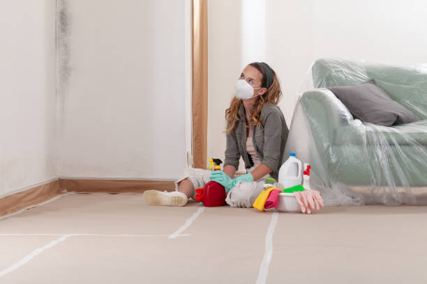 Reliable Mold Remediation contractor in Bowie, TX by Cheap Mold Removal